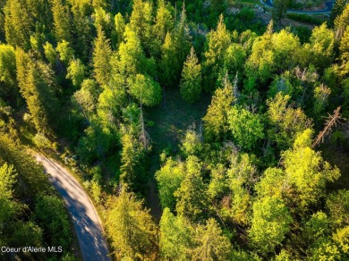 Discover Lot F10--an exceptional 0.9-acre opportunity in the on The Idaho Club in Idaho - for sale on GolfHomes.com, golf home, golf lot