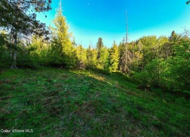 Discover Lot F10--an exceptional 0.9-acre opportunity in the on The Idaho Club in Idaho - for sale on GolfHomes.com, golf home, golf lot
