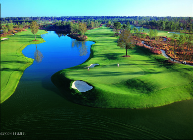 New Construction luxury on homesite buffered on two sides by on Berkeley Hall Golf Club in South Carolina - for sale on GolfHomes.com, golf home, golf lot