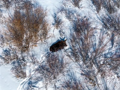 Highlands Riverfront luxury single family homes offer on Breckenridge Golf Club in Colorado - for sale on GolfHomes.com, golf home, golf lot