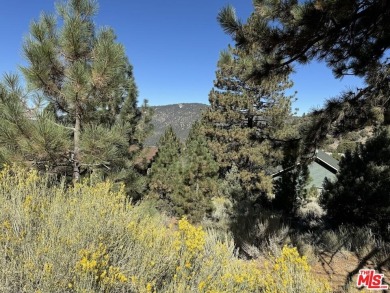 Here's the chance to realize your vision of the perfect mountain on Pine Mountain Club in California - for sale on GolfHomes.com, golf home, golf lot