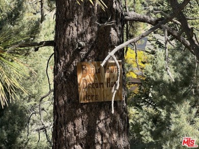 Here's the chance to realize your vision of the perfect mountain on Pine Mountain Club in California - for sale on GolfHomes.com, golf home, golf lot