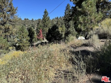 Here's the chance to realize your vision of the perfect mountain on Pine Mountain Club in California - for sale on GolfHomes.com, golf home, golf lot