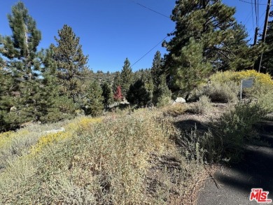Here's the chance to realize your vision of the perfect mountain on Pine Mountain Club in California - for sale on GolfHomes.com, golf home, golf lot