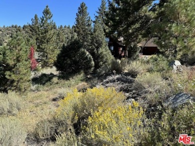 Here's the chance to realize your vision of the perfect mountain on Pine Mountain Club in California - for sale on GolfHomes.com, golf home, golf lot