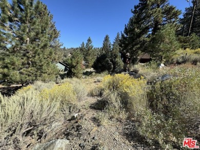 Here's the chance to realize your vision of the perfect mountain on Pine Mountain Club in California - for sale on GolfHomes.com, golf home, golf lot