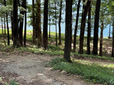 LAKE THUNDERBIRD LOT plus 2016 sq. ft. m/l home-with great LAKE on Cherokee Village North Course in Arkansas - for sale on GolfHomes.com, golf home, golf lot