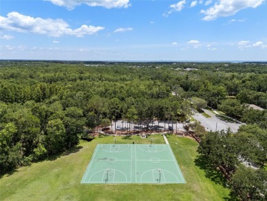 One or more photo(s) has been virtually staged. Welcome to 10715 on Westchase Golf Club in Florida - for sale on GolfHomes.com, golf home, golf lot