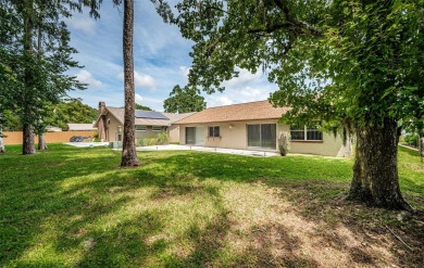 It's time to start enjoying the Palm Harbor lifestyle from the on Lansbrook Golf Club in Florida - for sale on GolfHomes.com, golf home, golf lot