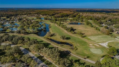 It's time to start enjoying the Palm Harbor lifestyle from the on Lansbrook Golf Club in Florida - for sale on GolfHomes.com, golf home, golf lot