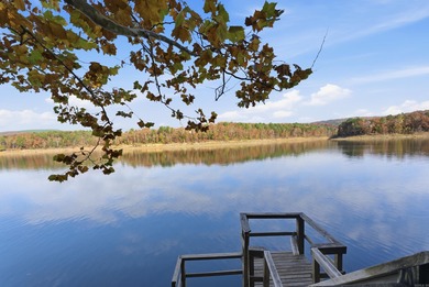 Looking for a Clean & Well maintained Lakefront Home? This is on Red Apple Inn and Country Club in Arkansas - for sale on GolfHomes.com, golf home, golf lot