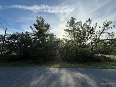Discover the perfect canvas for your dream home at 10944 W. Ober on Pine Ridge Community Golf and Country Club in Florida - for sale on GolfHomes.com, golf home, golf lot
