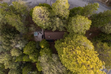 Moody, Modern, and the Cabin in the Woods You've Been Waiting on Lake Arrowhead Country Club in California - for sale on GolfHomes.com, golf home, golf lot