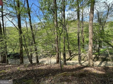 Escape to the mountains and build your dream retreat on this on White Path Golf Club in Georgia - for sale on GolfHomes.com, golf home, golf lot