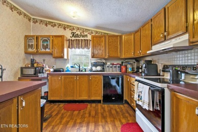 Charming Lakefront Home with Dock on Geronimo Lake

Discover on Lake Tansi Village Country Club in Tennessee - for sale on GolfHomes.com, golf home, golf lot