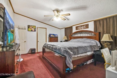 Charming Lakefront Home with Dock on Geronimo Lake

Discover on Lake Tansi Village Country Club in Tennessee - for sale on GolfHomes.com, golf home, golf lot