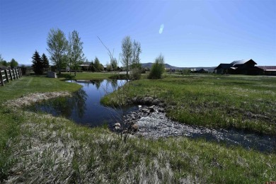 Joel Vosburg, Bluebird Real Estate, LLC, C: , jvosburg,  : This on Dos Rios Golf Course in Colorado - for sale on GolfHomes.com, golf home, golf lot