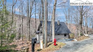 TOTAL RENOVATION A-FRAME ON BEECH MOUNTAIN. This cute 3 bedroom on Beech Mountain Club in North Carolina - for sale on GolfHomes.com, golf home, golf lot