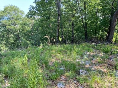 Make this Lot your dream home location. Ready to build on Holiday Island Golf Course in Arkansas - for sale on GolfHomes.com, golf home, golf lot