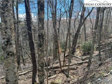 Convenient in town lot with seasonal view.  This lot lays out on Beech Mountain Club in North Carolina - for sale on GolfHomes.com, golf home, golf lot