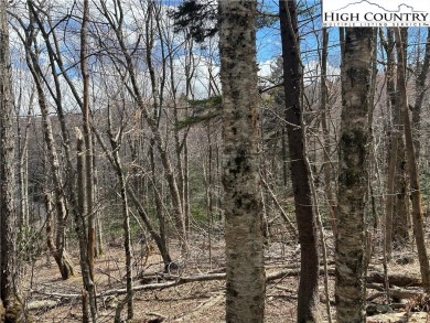 Convenient in town lot with seasonal view.  This lot lays out on Beech Mountain Club in North Carolina - for sale on GolfHomes.com, golf home, golf lot
