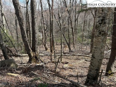 Convenient in town lot with seasonal view.  This lot lays out on Beech Mountain Club in North Carolina - for sale on GolfHomes.com, golf home, golf lot