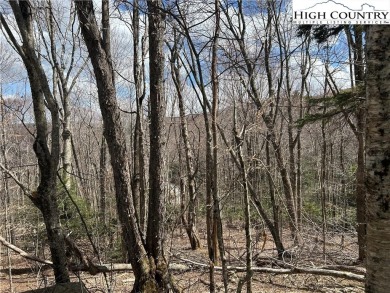 Convenient in town lot with seasonal view.  This lot lays out on Beech Mountain Club in North Carolina - for sale on GolfHomes.com, golf home, golf lot