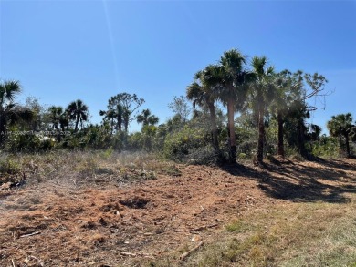 Waterfront Lot. Build your new Dreamhouse here in Port Charlotte on Riverwood Golf Club in Florida - for sale on GolfHomes.com, golf home, golf lot