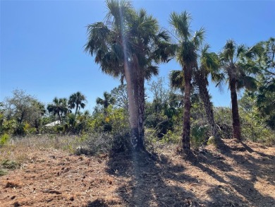 Waterfront Lot. Build your new Dreamhouse here in Port Charlotte on Riverwood Golf Club in Florida - for sale on GolfHomes.com, golf home, golf lot