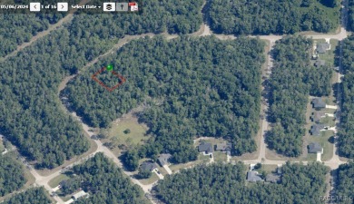Check out this high and dry, level lot!! This piece of sunny on Citrus Springs Country Club in Florida - for sale on GolfHomes.com, golf home, golf lot