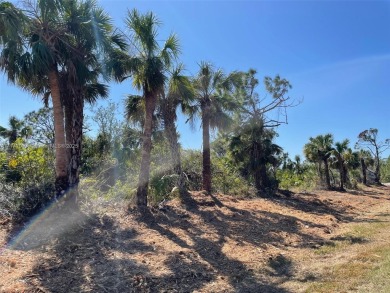 Waterfront Lot. Build your new Dreamhouse here in Port Charlotte on Riverwood Golf Club in Florida - for sale on GolfHomes.com, golf home, golf lot