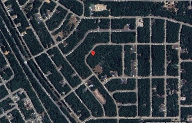 Check out this high and dry, level lot!! This piece of sunny on Citrus Springs Country Club in Florida - for sale on GolfHomes.com, golf home, golf lot