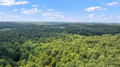 Hickory Cabins and Wolf Knob Disc Golf Course set on 86 acres on Shady Hollow Golf Course in Kentucky - for sale on GolfHomes.com, golf home, golf lot