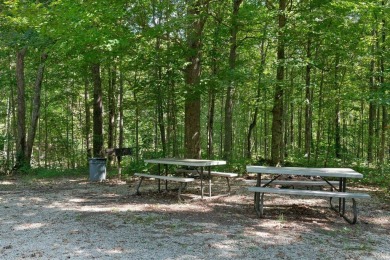 Hickory Cabins and Wolf Knob Disc Golf Course set on 86 acres on Shady Hollow Golf Course in Kentucky - for sale on GolfHomes.com, golf home, golf lot