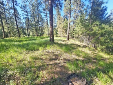 If you're looking for the golf course lifestyle with a touch of on Chewelah Golf and Country Club  in Washington - for sale on GolfHomes.com, golf home, golf lot
