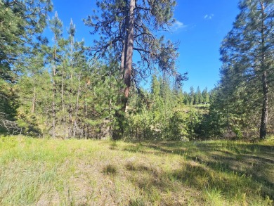 If you're looking for the golf course lifestyle with a touch of on Chewelah Golf and Country Club  in Washington - for sale on GolfHomes.com, golf home, golf lot