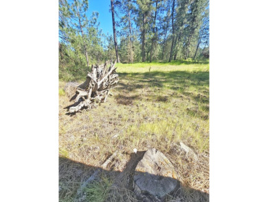 If you're looking for the golf course lifestyle with a touch of on Chewelah Golf and Country Club  in Washington - for sale on GolfHomes.com, golf home, golf lot