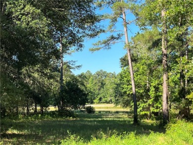 Come see what *Bluff Life* is all about! This homesite is over on Sapelo Hammock Golf Club in Georgia - for sale on GolfHomes.com, golf home, golf lot