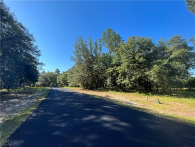 Come see what *Bluff Life* is all about! This homesite is over on Sapelo Hammock Golf Club in Georgia - for sale on GolfHomes.com, golf home, golf lot