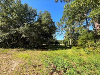 Come see what *Bluff Life* is all about! This homesite is over on Sapelo Hammock Golf Club in Georgia - for sale on GolfHomes.com, golf home, golf lot
