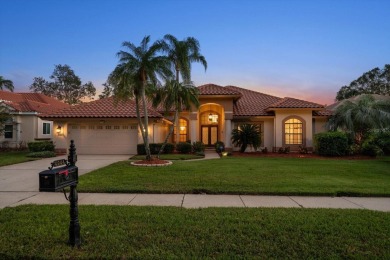 Welcome to this beautiful custom designed home, by Arthur on East Lake Woodlands Country Club in Florida - for sale on GolfHomes.com, golf home, golf lot