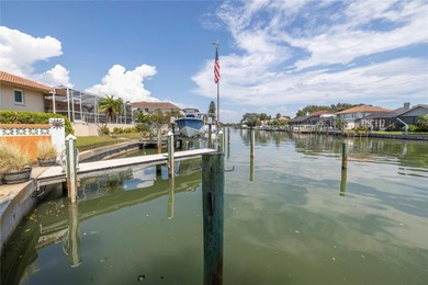 WELCOME TO PARADISE SAYS THIS WATERFRONT BEAUTY IN THE GATED & on Isla Del Sol Yacht and Country Club in Florida - for sale on GolfHomes.com, golf home, golf lot
