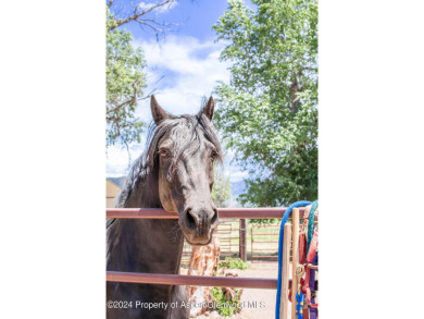 Discover the ease of single-floor living in this delightful on Ranch at Roaring Fork Golf Course in Colorado - for sale on GolfHomes.com, golf home, golf lot