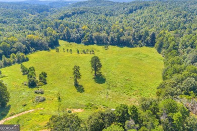 Discover an outstanding investment opportunity with this on Currahee Golf Club in Georgia - for sale on GolfHomes.com, golf home, golf lot