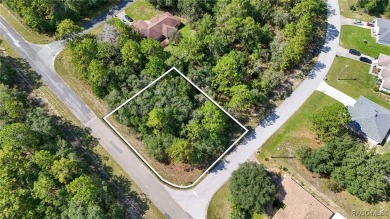 GREAT CORNER LOT! Build Your Dream Home On This High & Dry on Citrus Springs Country Club in Florida - for sale on GolfHomes.com, golf home, golf lot