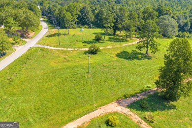 Discover an outstanding investment opportunity with this on Currahee Golf Club in Georgia - for sale on GolfHomes.com, golf home, golf lot