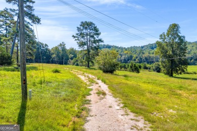 Discover an outstanding investment opportunity with this on Currahee Golf Club in Georgia - for sale on GolfHomes.com, golf home, golf lot