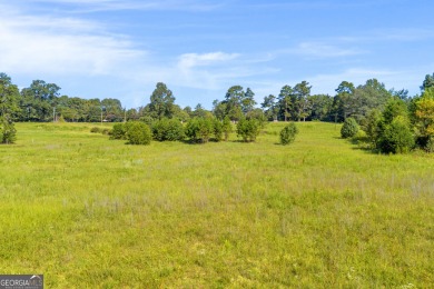 Discover an outstanding investment opportunity with this on Currahee Golf Club in Georgia - for sale on GolfHomes.com, golf home, golf lot