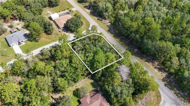 GREAT CORNER LOT! Build Your Dream Home On This High & Dry on Citrus Springs Country Club in Florida - for sale on GolfHomes.com, golf home, golf lot