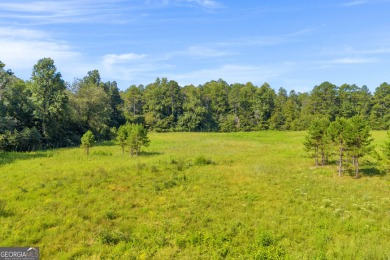 Discover an outstanding investment opportunity with this on Currahee Golf Club in Georgia - for sale on GolfHomes.com, golf home, golf lot